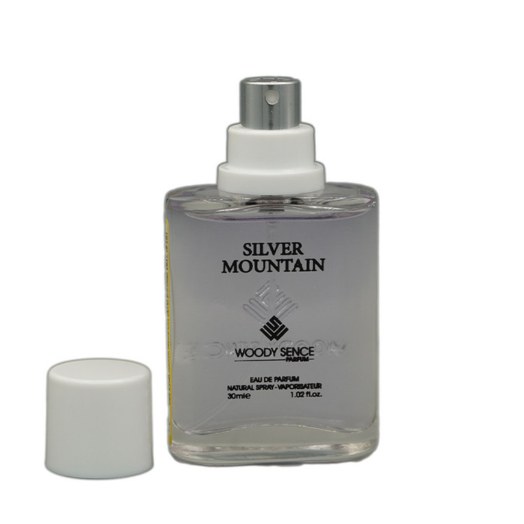 عطر جیبی مردانه وودی سنس مدل silver montian با رایحه خنک حجم 30 میلیلیتر