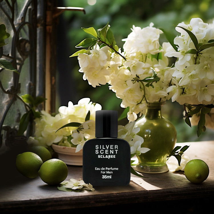 عطر جیبی مردانه اسکلاره مدل سیلورسنت Silver Scent حجم 35 میلی لیتر